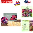 New ListingFast-Growing Hybrida Mix Petunia Seeds - 5000 Pcs, Perfect for Hanging Baskets