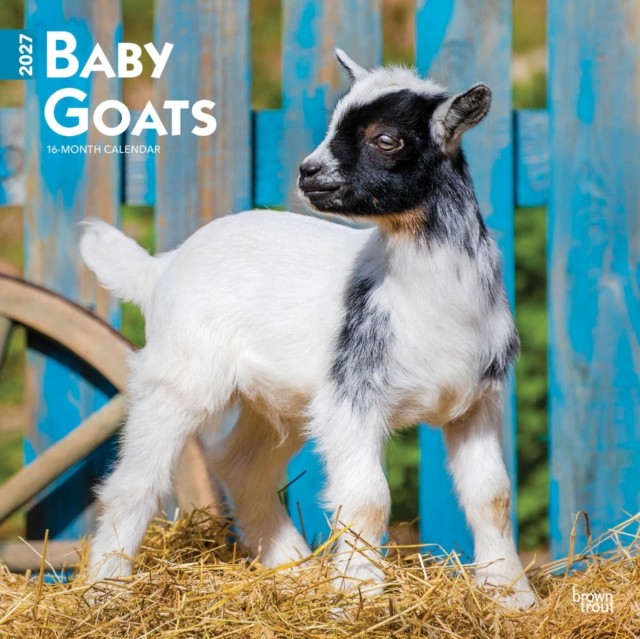 Baby Goats 2027 12 X 24 Inch (Hanging) Monthly Square Wall Calendar Plastic-Free Browntrout - Image 2