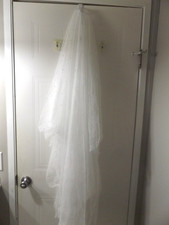NWOT Beaded 48" Wedding Veil with Comb