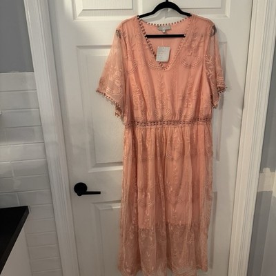 J. Gee Lace Embroidered Blush Pink Cottagecore Dress Plus Size 2X NEW