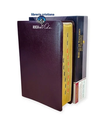 BIBLIA DE ESTUDIO DEL EXPOSITOR DE JIMMY SWAGGART PIEL DE CUERO VINO CON ÍNDICE