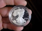 AMERICAN SILVER EAGLE 2002 PROOF 1 TROY OZ IN MINT HARD CAPSULE NO BOX SYGMA TES