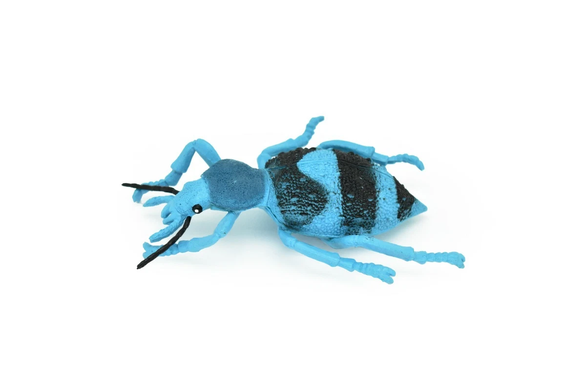 Beetle Blue and Black Weevil Very Nice Rubber Replica 5