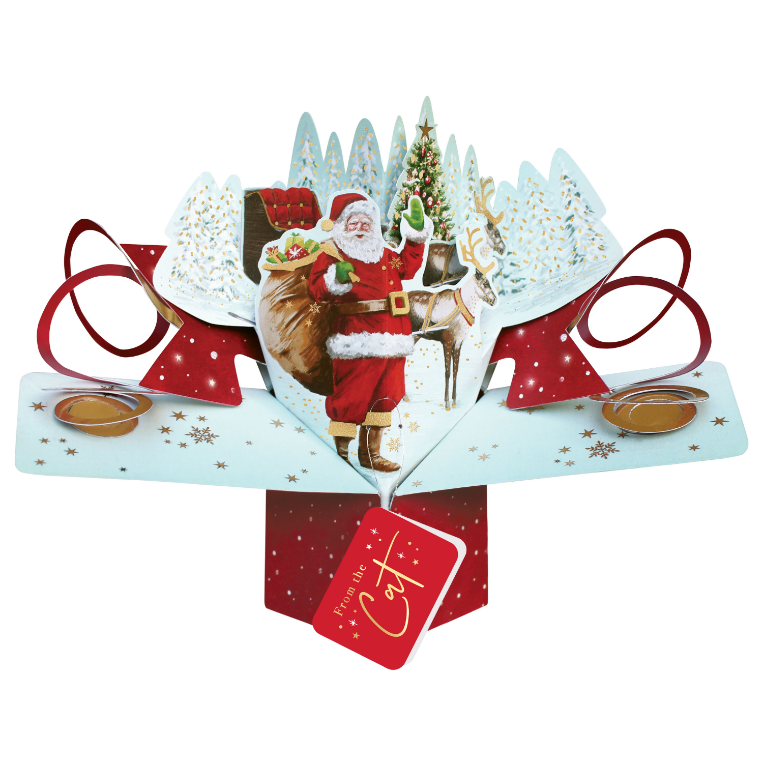 From The Cat Christmas Card 3D Father Christmas Pop Up Christmas Card Xmas Cards