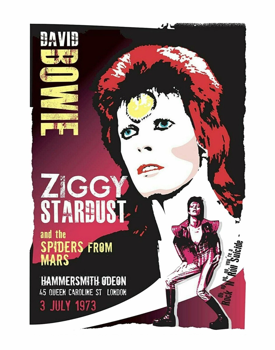 David Bowie Ziggy Stardust 13