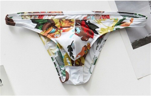 Men Beach Swimsuit Bikini Bathing Suit Trunks Underpants Low Waist Swim Briefs - Picture 19 of 27