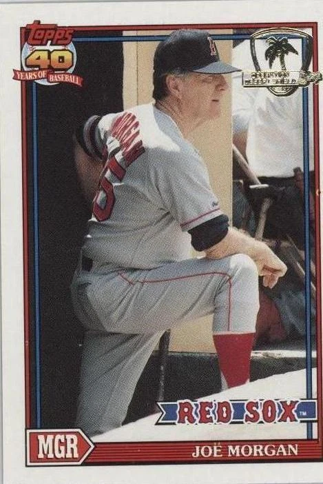 Operation Desert Shield