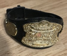 WWE TAG TEAM CHAMPION TITLE BELT