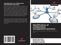 BráUlio Barcelos (U. A.) | Identification Of Collaborative Management Practices