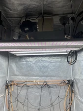 Grow Tent With Everything