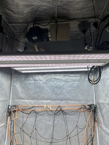 Grow Tent With Everything