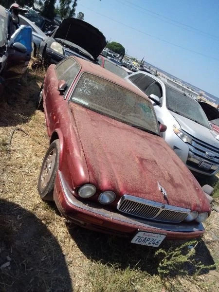 Driver Left Front Door Fits 95-97 XJ6 26027942 Foto 3 de 4