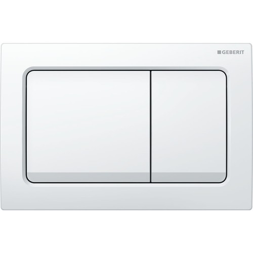 Anas Magna Rimless Pan With Geberit Duofix 0.82 Alpha Wc Frame White Flush Plate - Picture 3 of 13