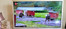Telefunken HD TV 32 Zoll