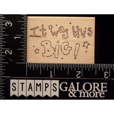 JRL Rubber Stamps IT WAS THIS BIG STARS CONFETTI SAYING BIRTHDAY PARTY T37