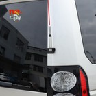 Bild 8 von 12