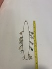 Picture 2 of 2