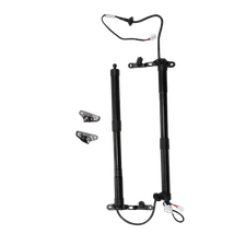 Genuine Toyota RAV4 2013-2018 Rear Trunk Tailgate Lift Support Struts 6892009010