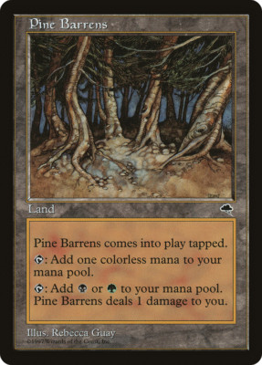 Pine Barrens X (1) Tempest MTG Excellent/Near Mint - R321 - 4RCards