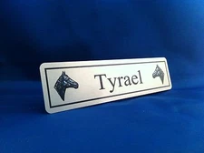 Personalised Horse Name Plaque Stable Door 150mmX50mm Silver Any Name