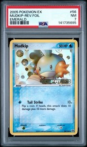 Mudkip Pokemon Card | eBay