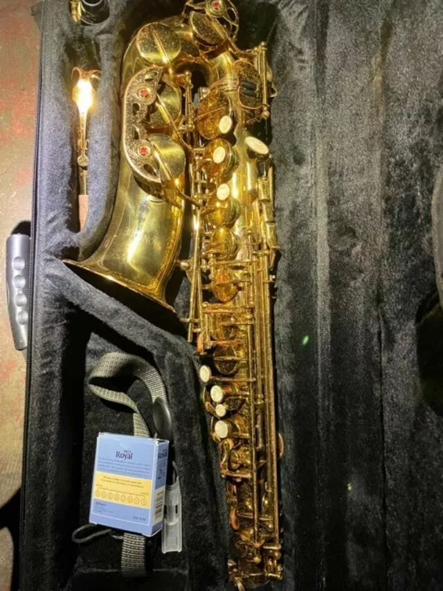 Monique Alto saxophone. Color Gold plus with the case eBay