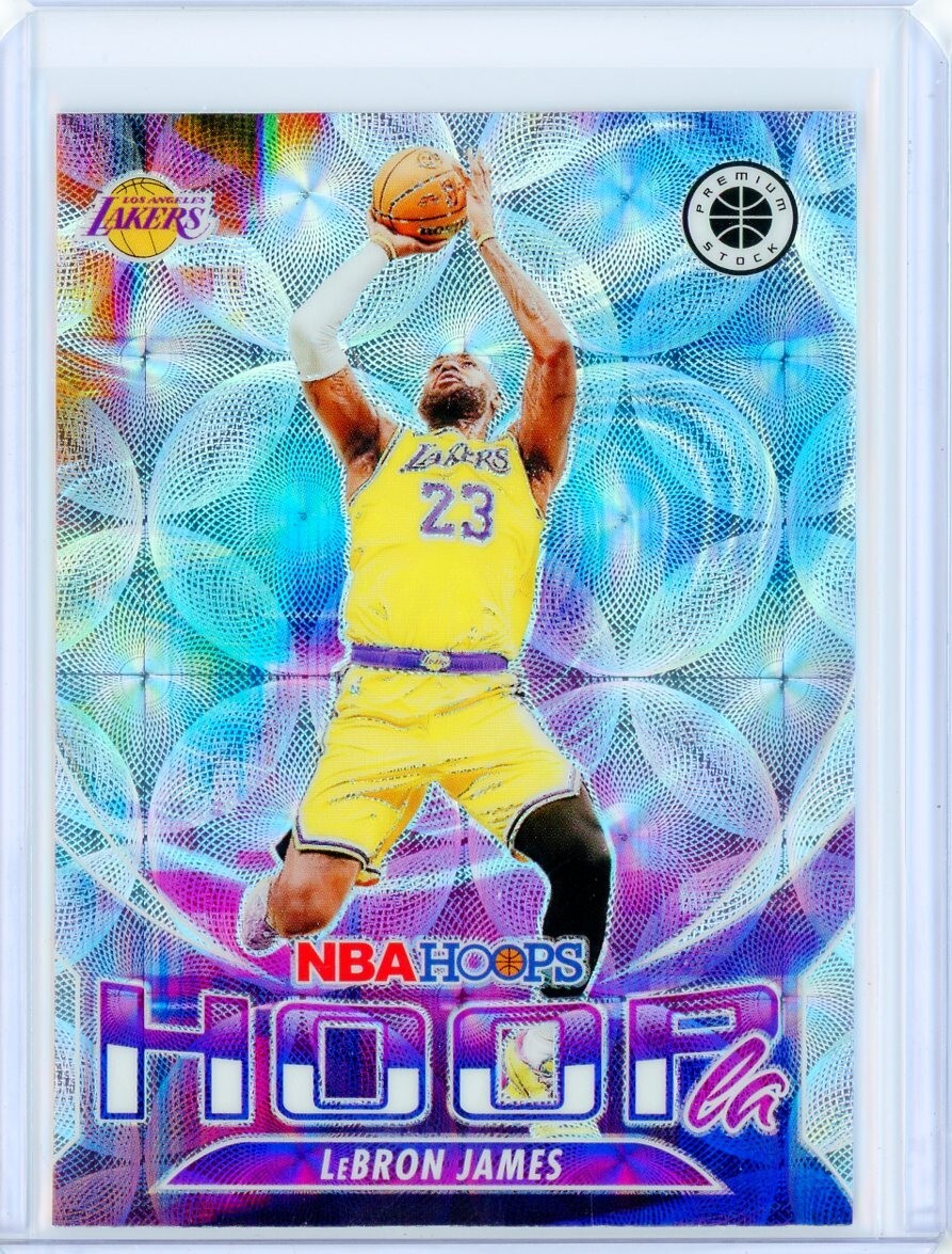 lebron james nba hoops