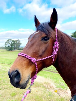 Hair Rope Rope Halter With 7ft Lead - Pony, Cob, Full, XFull Sizes, Various Colors (Fluoro Green Shown) Beaded Horse Halter - Foto 6