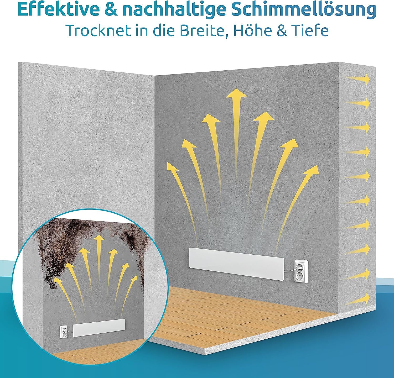 Bild 7 von 8