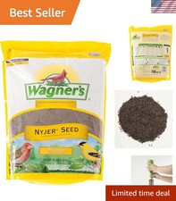 Nyjer Seed Wild Bird Food, 10-Pound Bag - Attract Small Songbirds