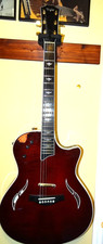 Taylor T5 Guitar