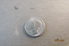 1916 d mercury dime
