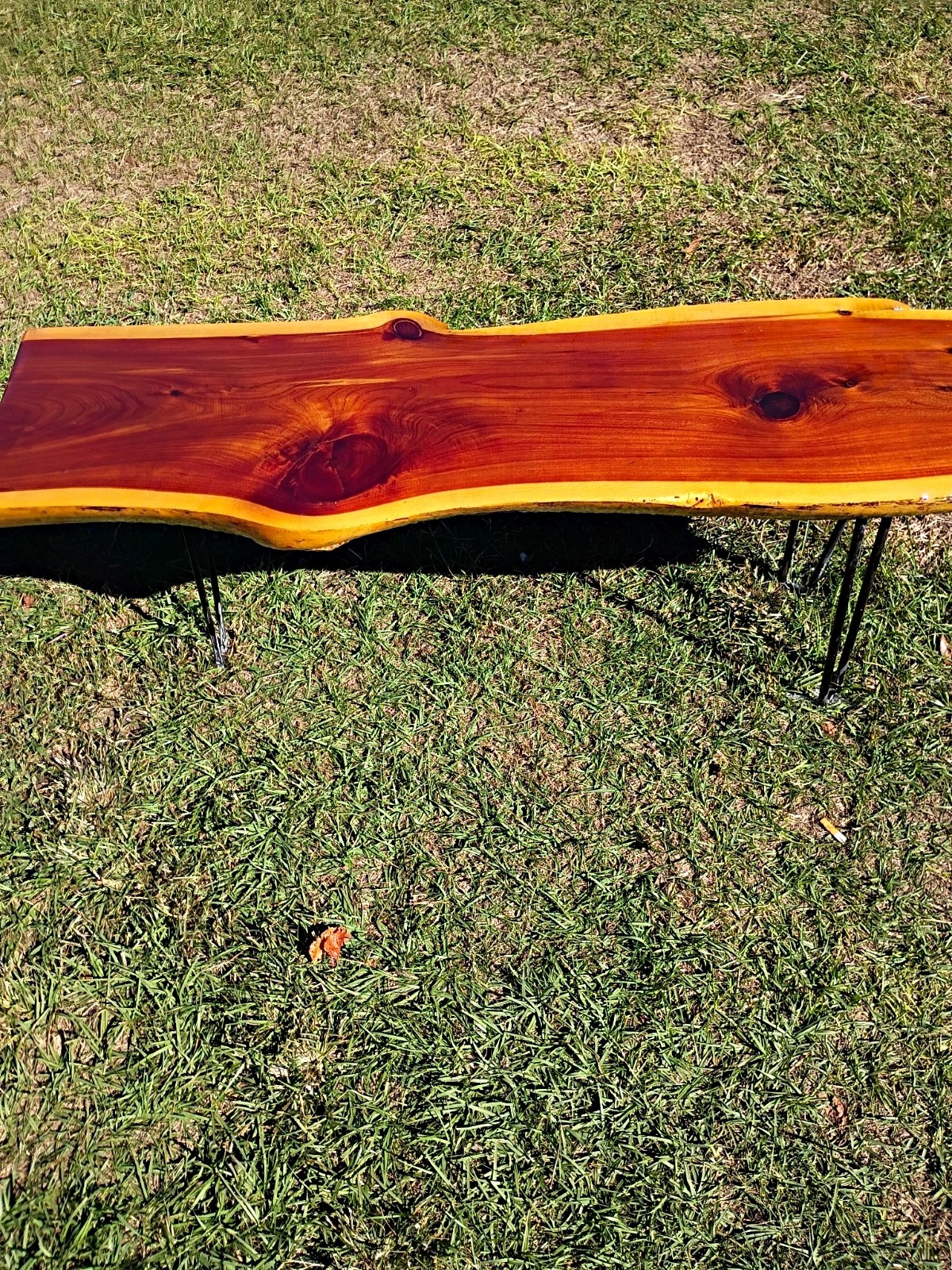 Live Edge Wood Coffee Table, Metal Hairpin Legs, Rectangular, Brown