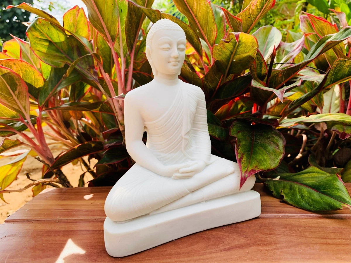 Gotama best sale the buddha
