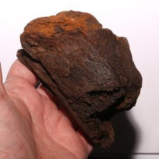 Triceratops Horn Partial - Hell Creek Formation Cretaceous - Beautiful Piece