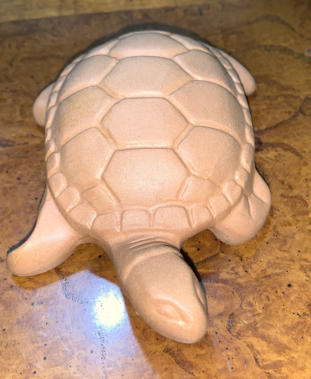 Picture 6 of 12
