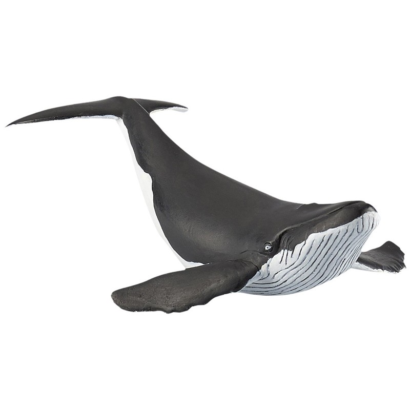 PAPO Whale Calf Figure Marine Life Collectable