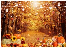 Fall Forest Autumn Thanksgiving Photography Backdrop 8x6ft, Harvest Scenery