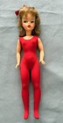 Zdjęcie 1 z 11