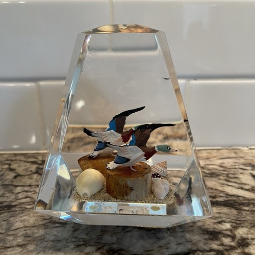 Wild Geese In Lucite Clear Paperweight Decorative Shelf Sitter Mallard Seashell - Picture 5 of 13