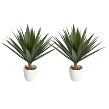 Faux Agave Plant Duo with Ceramic Pots