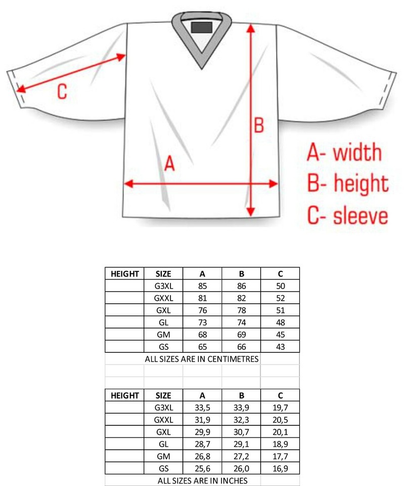 Team Czech republic RED Ice Hockey Jersey Custom Name and Number eBay