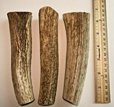 HIGH COUNTRY ANTLERS (3) PACK LARGE Grade A Premium Whole Organic Elk Antler Dog Chews Treats Crafts