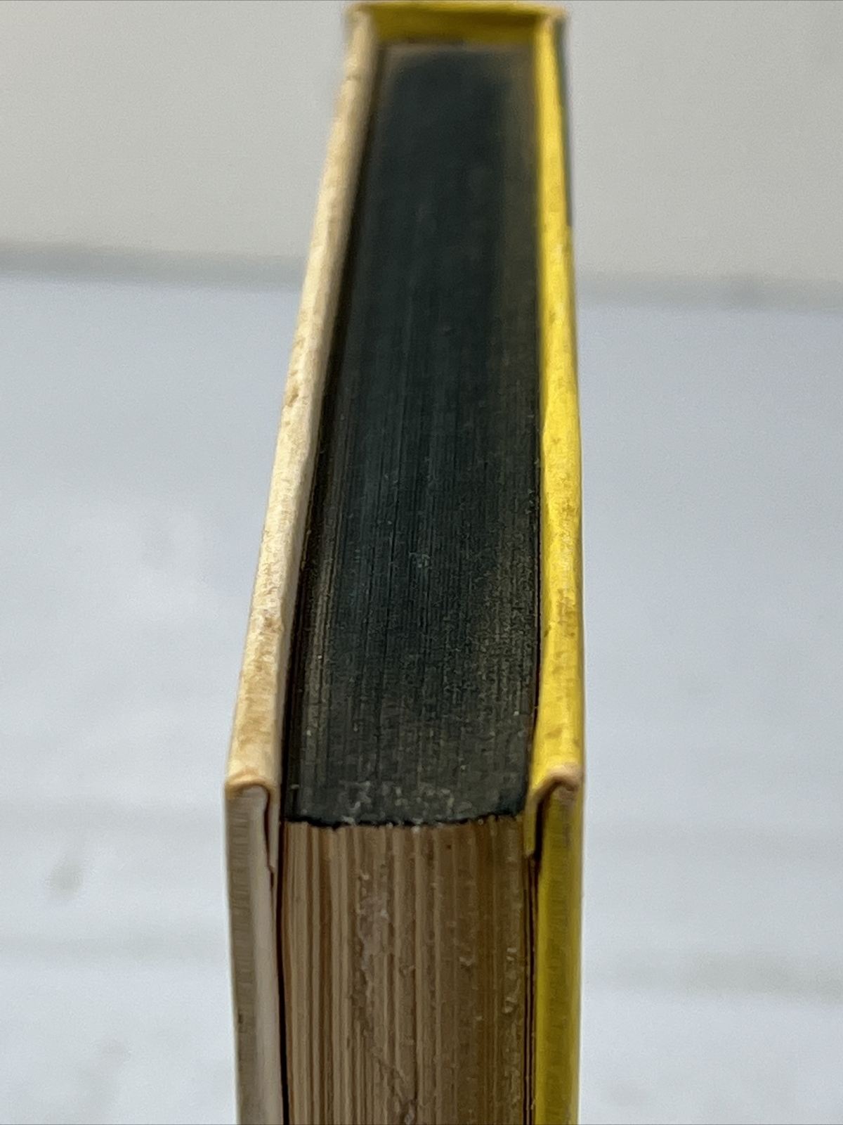Picture 5 of 11