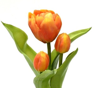 Tulpen im Topf Real Touch H23cm orange knstliche Blumen Tulpen Natur  Dekoration | eBay.de