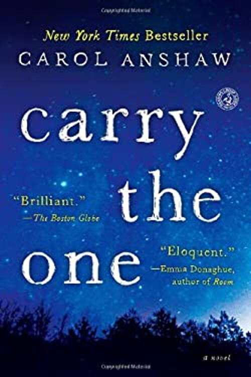 Carry the One Novel Paperback by Carol Anshaw - Emotional Family Drama