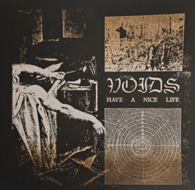  Voids  by Have a Nice Life 2x LP Vinyl Silk-Screened Cover Mustard Variant