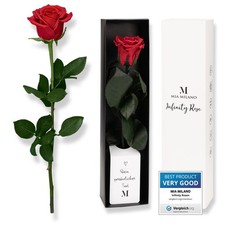 Rosa rossa con gambo lungo (durata 5 anni) in scatola regalo Regalo decorativo