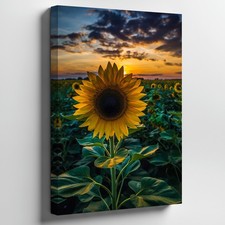 Vibrant Sunflower Stands Tall In The Foreground, Its Bright Yellow Wall Art