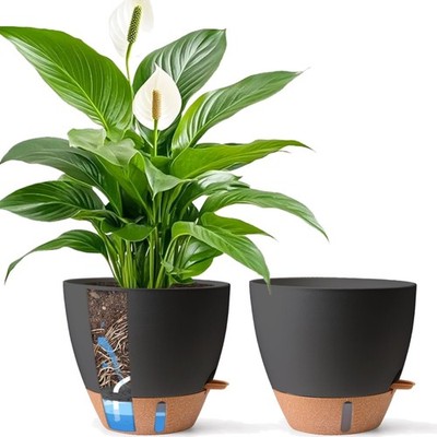Praktischer Blumentopf mit Wasserstandsanzeige für Innen und Außen